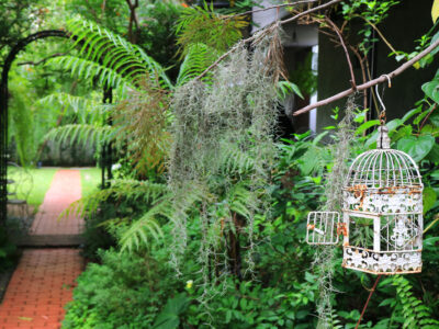 Aménager votre jardin pour attirer les oiseaux et créer un écosystème naturel