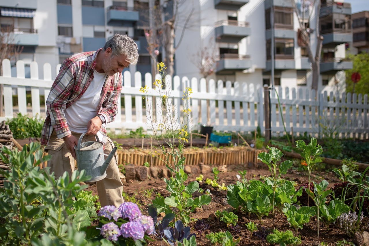 Les associations de plantes intéressantes pour son potager